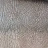 IBICA №14